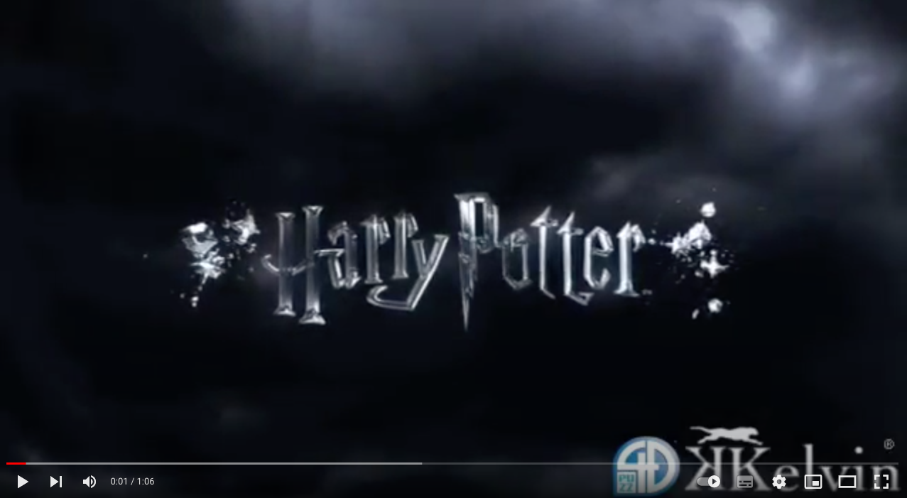 RC 4D Harry Potter
